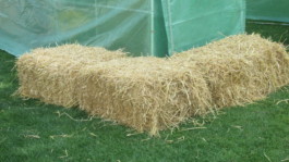 Sommerferien mit Kunst und Krempel