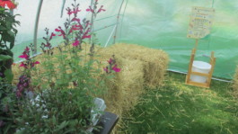 Sommerferien mit Kunst und Krempel