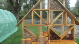 Sommerferien mit Kunst und Krempel