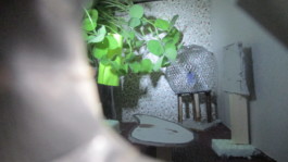 Sommerferien mit Kunst und Krempel